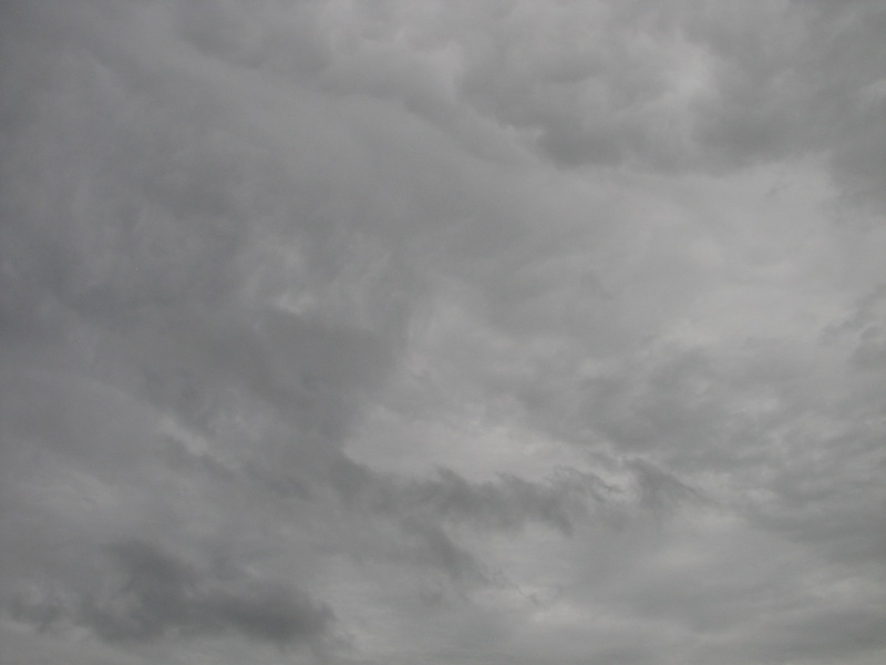 20100206 569.JPG